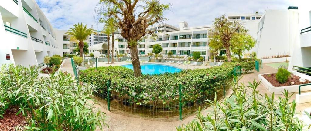 Optimist Playa De Las Americas 아파트 외부 사진